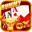 rummy cash game apk